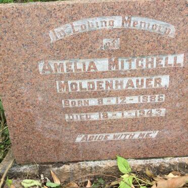 MOLDENHAUER Amelia Mitchell 1886-1943