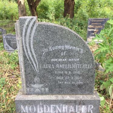MOLDENHAUER Laura Amelia Mitchell 1908-1954