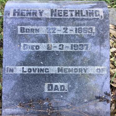 NEETHLING Henry 1863-1937