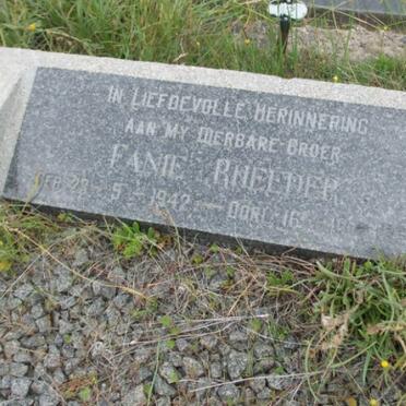 RHEEDER Fanie 1942-??