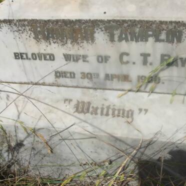 RAYNER Hannah nee TAMPLIN -1900