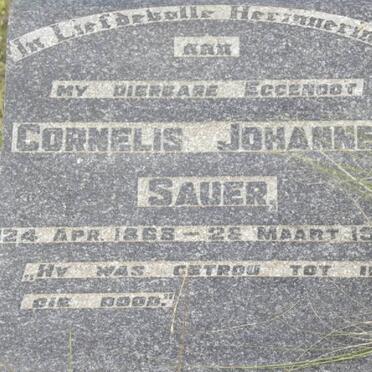 SAUER Cornelis Johannes 1868-1947 &amp; Johanna Maria BOTHA 1879-1967