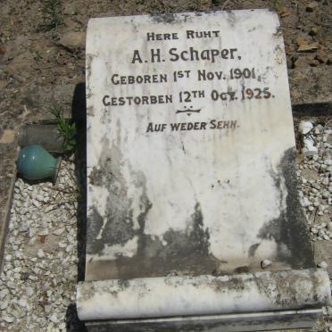 SCHAPER A.H. 1901-1925
