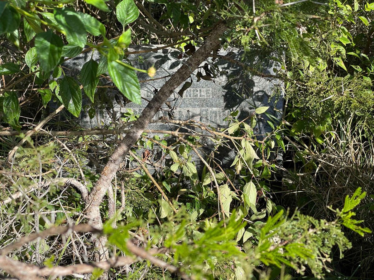 BOWLES Henry William -1946