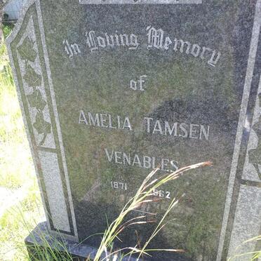 VENABLES Amelia Tamsen 1871-1962