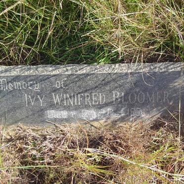 BLOOMER Alfred Charles -1966 &amp; Ivy Winifred -1965 