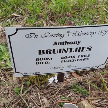 BRUINTJIES Anthony 1963-1965