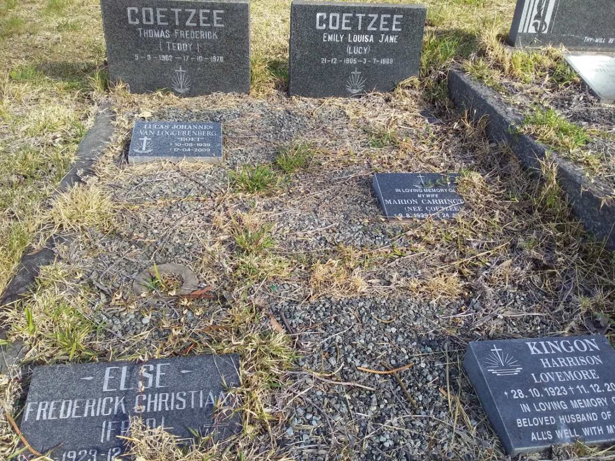 COETZEE :: VAN LOGGERENBERG :: CARRINGTON :: ELSE :: KINGON