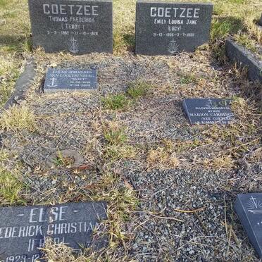 COETZEE :: VAN LOGGERENBERG :: CARRINGTON :: ELSE :: KINGON