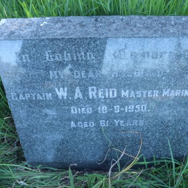 REID W.A. -1950