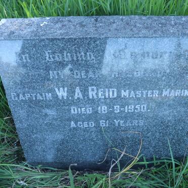 REID W.A. -1950