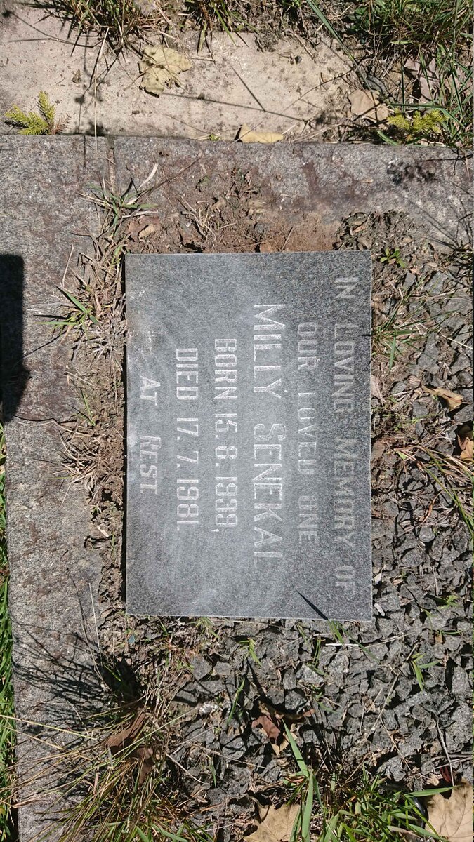 SENEKAL Milly 1939-1981