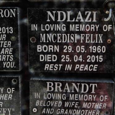 NDLAZI Mncedisi Felix 1960-2015