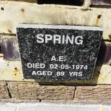 SPRING A.E. -1974