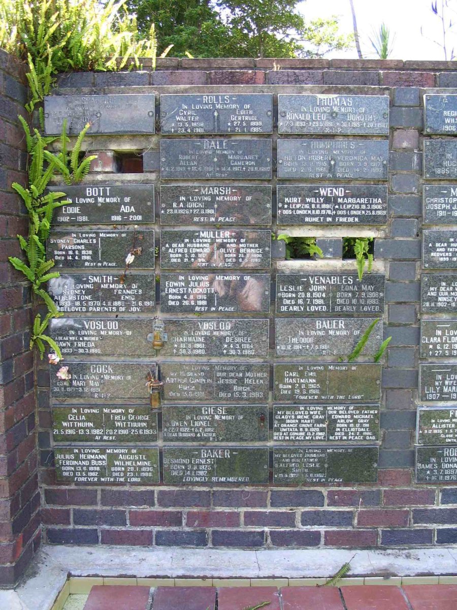 Panel 6