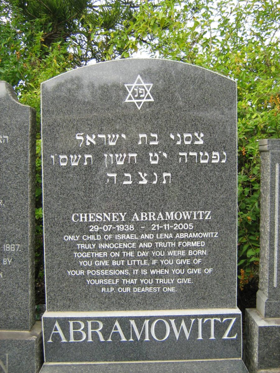 ABRAMOWITZ Chesney 1938-2005