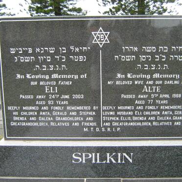 SPILKIN Eli -2003 &amp; Alte -1988
