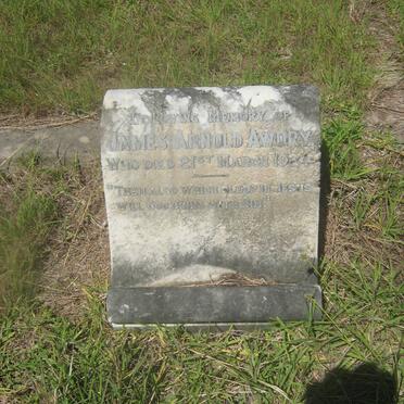 AWDRY James Arnold -1924