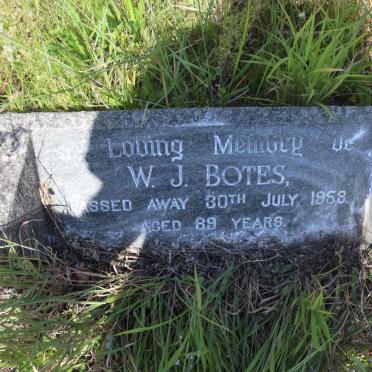 BOTES W.J. -1958
