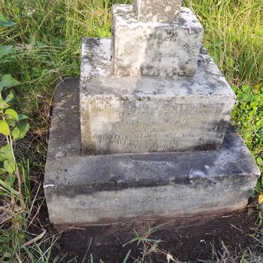 BETTLINGER Rosa Mary :: BETTLINGER William Henry 