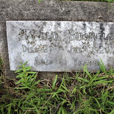 BUCKELL Harold -1920