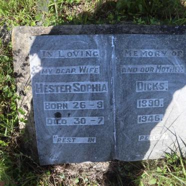 DICKS Hester Sophia 1890-1946