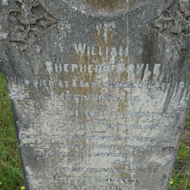 DOYLE William Shepherd -191? &amp; Elizabeth Hanna KIDSON -1915