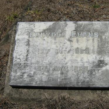 EVANS Ednyfed 1885-1938