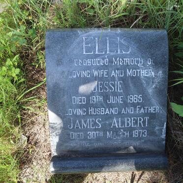 ELLIS James Albert -1973 &amp; Jessie -1965