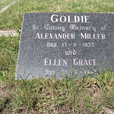 GOLDIE Alexander Miller -1937 &amp; Ellen Grace -1947