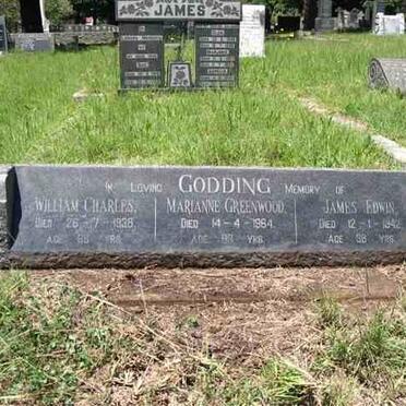 GODDING William Charles -1936 &amp; James Edwin -1942 :: GREENWOOD Marianne -1964