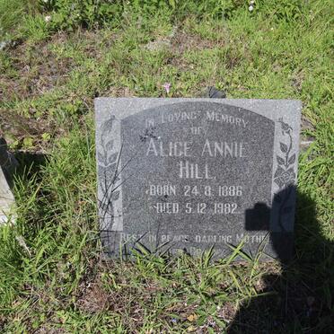 HILL Alice Annie 1886-1982