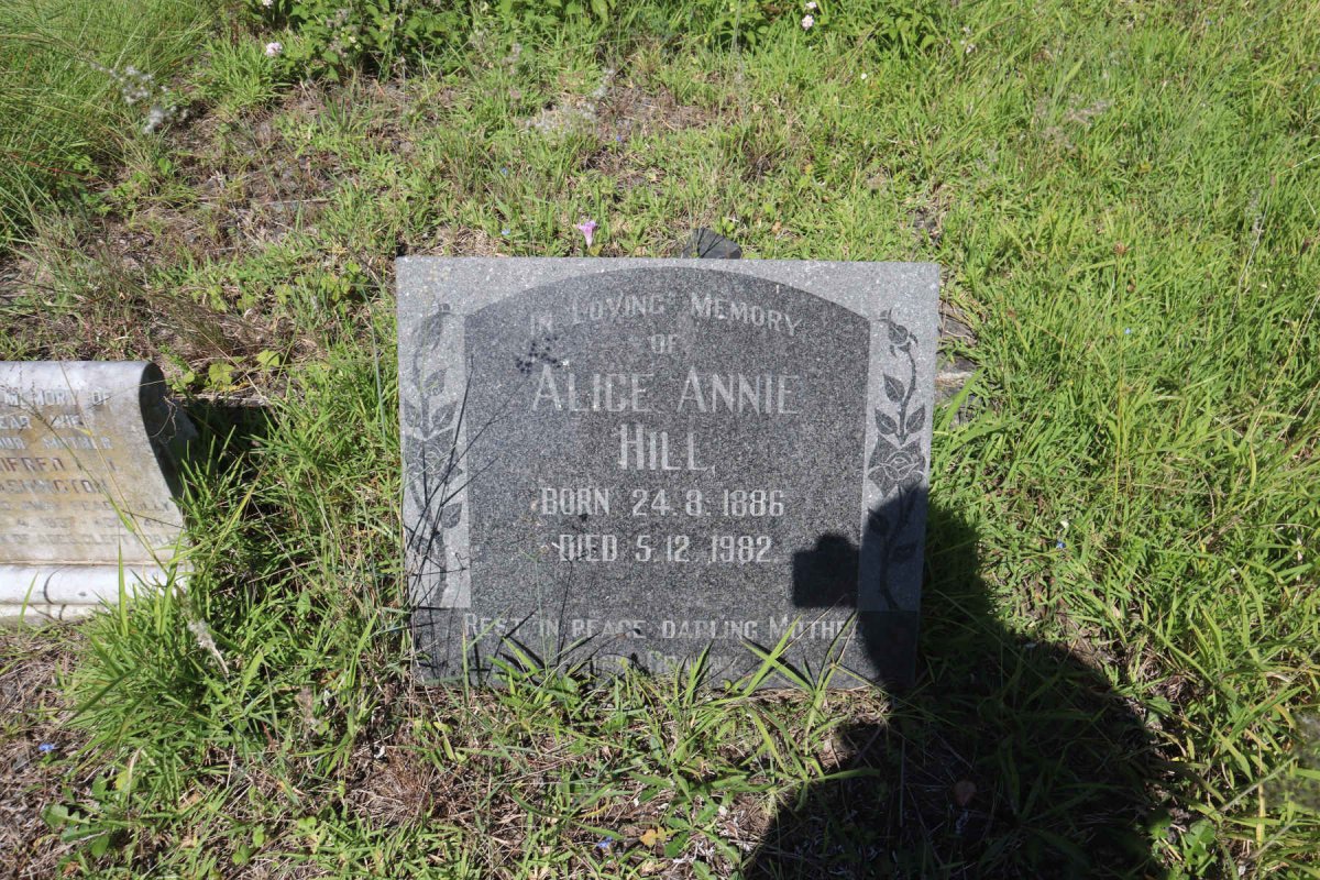 HILL Alice Annie 1886-1982