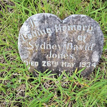 JONES Sydney David -1934