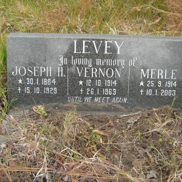 LEVEY Joseph H. 1884-1929 :: LEVEY Vernon 1914-1963 ::LEVEY Merle 1914-2003