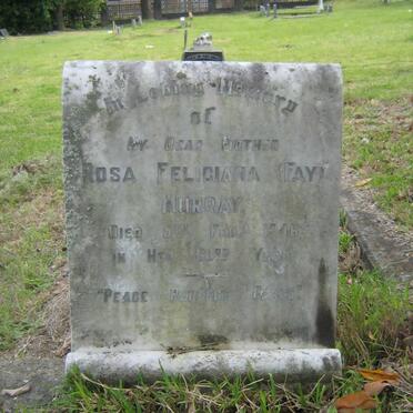 MURRAY Rosa Feliciana -1946