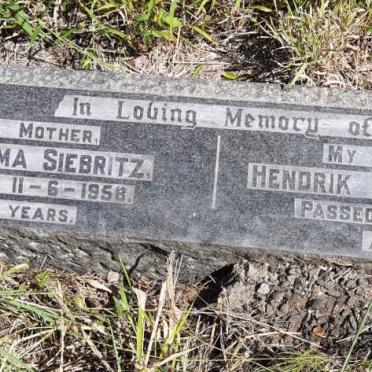 NIEUWENHUIZEN Hendrik Paul  -1981 &amp; Martha Jemima SIEBRITZ  -1958