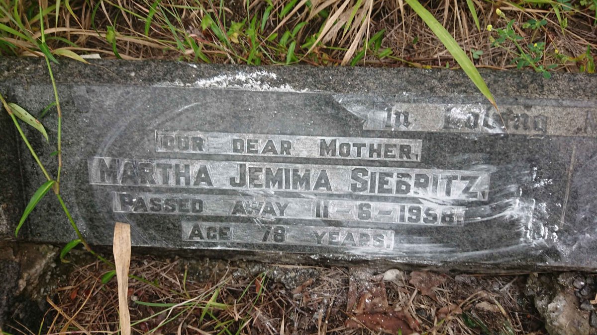 NIEUWENHUIZEN Hendrik Paul -1981 &amp; Martha Jemima SIEBRITZ -1958