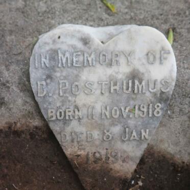 POSTHUMUS D. 1918-1919