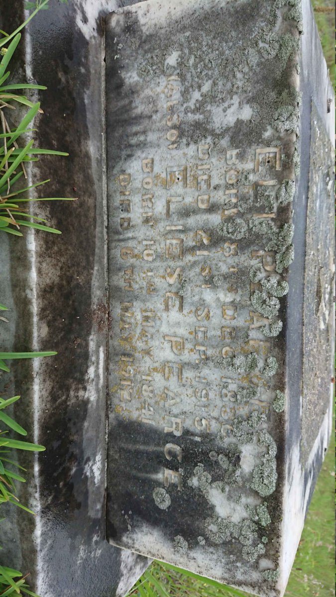 PEARCE Eli 183?-1915 :: PEARCE Eliese 1841-1912