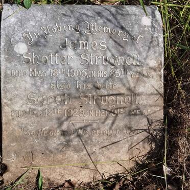 STRUGNELL James Shotter  -1905 &amp; Sarah  -1929