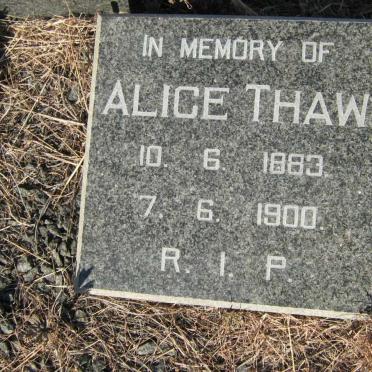 THAW Alice 1883-1900