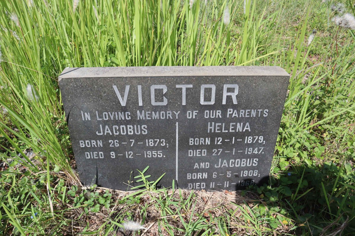 VICTOR Jacobus 1873-1955 &amp; Helena 1879-1947 :: VICTOR Jacobus 1908-1968