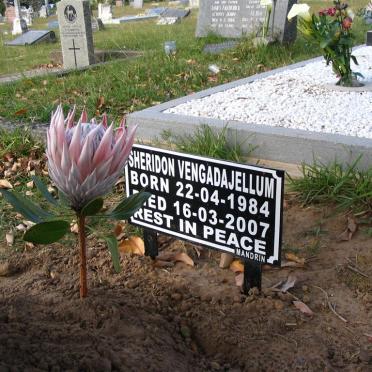 VENGADAJELLUM Sheridon 1984-2007