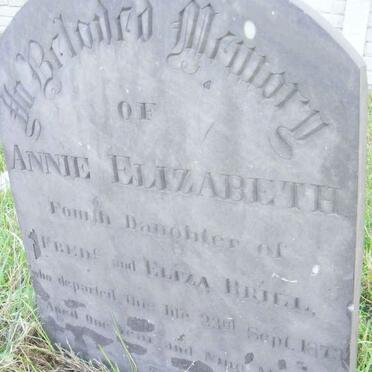 BRILL Annie Elizabeth -1873