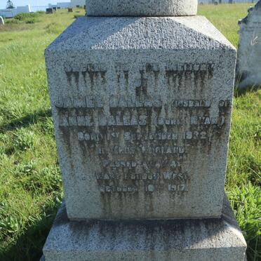 DALLAS James 1832-1917