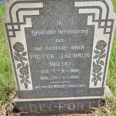 DELPORT Pieter Jacobus 1886-1965