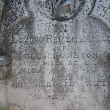 GIBSON Samuel -1897 &amp; Sophia -1886 :: GIBSON William -1891 :: GIBSON Samuel -1878 :: GIBSON Maitland -1878