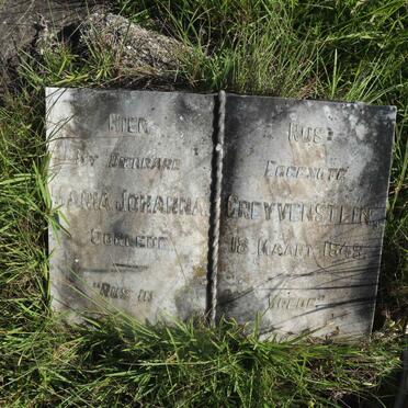 GREYVENSTEIN Maria Johanna -1949