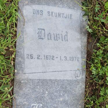 HAY Dawid 1972-1972